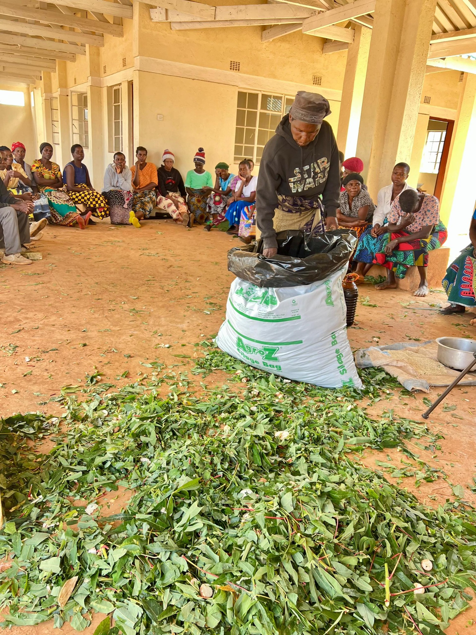 Livestock feed resource demonstration
