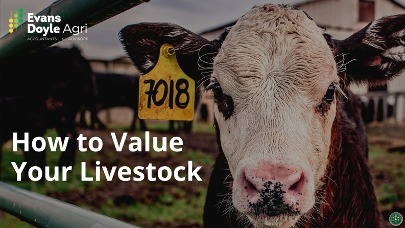 Livestock Farm Advisory Package — view 2
