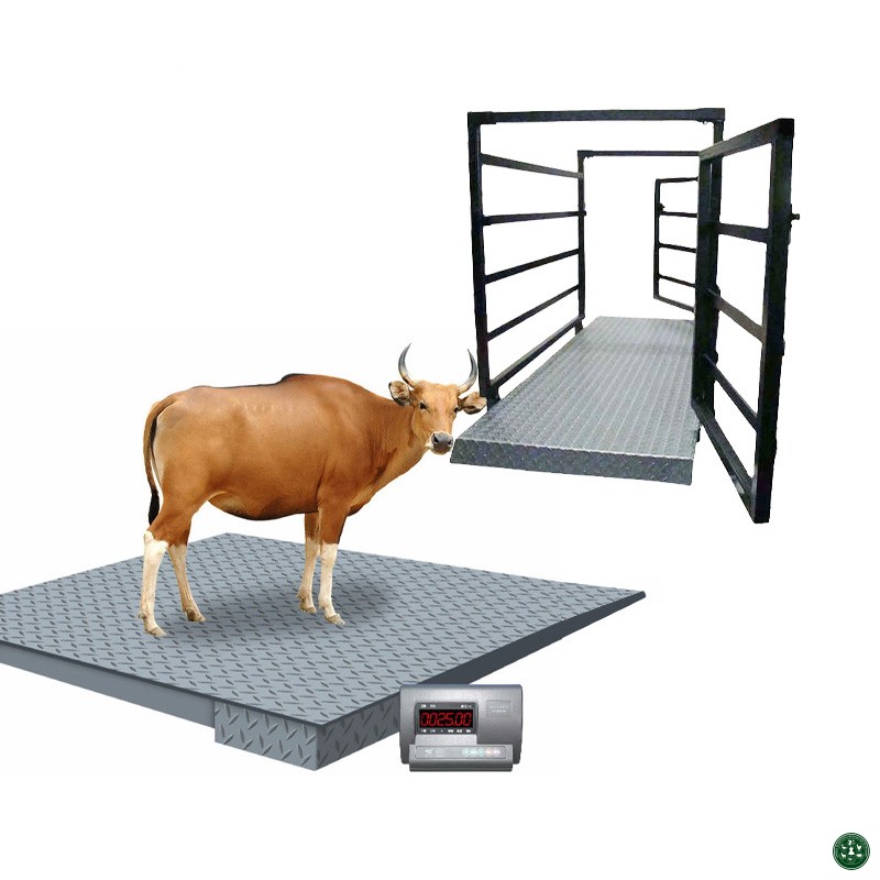 Digital Livestock Weighing Scale