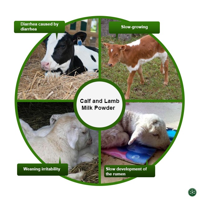 Calf Milk Replacer 20kg