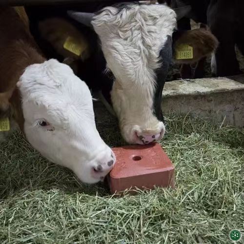 Goat Mineral Block 5kg — view 4